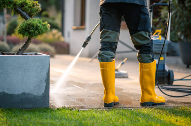 Roof Power Washing Services in West Fairview, PA